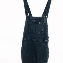 Chaser Brand Clothing Chaser Vintage Canvas Flared Overalls
