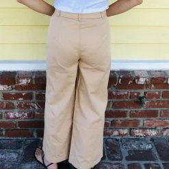 Amuse Society Aden Button Down Pant