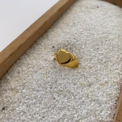 Bracha Easy Vibe Signet Ring