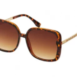 Blue Gem Sunglasses Finch Sunglasses New Arrivals