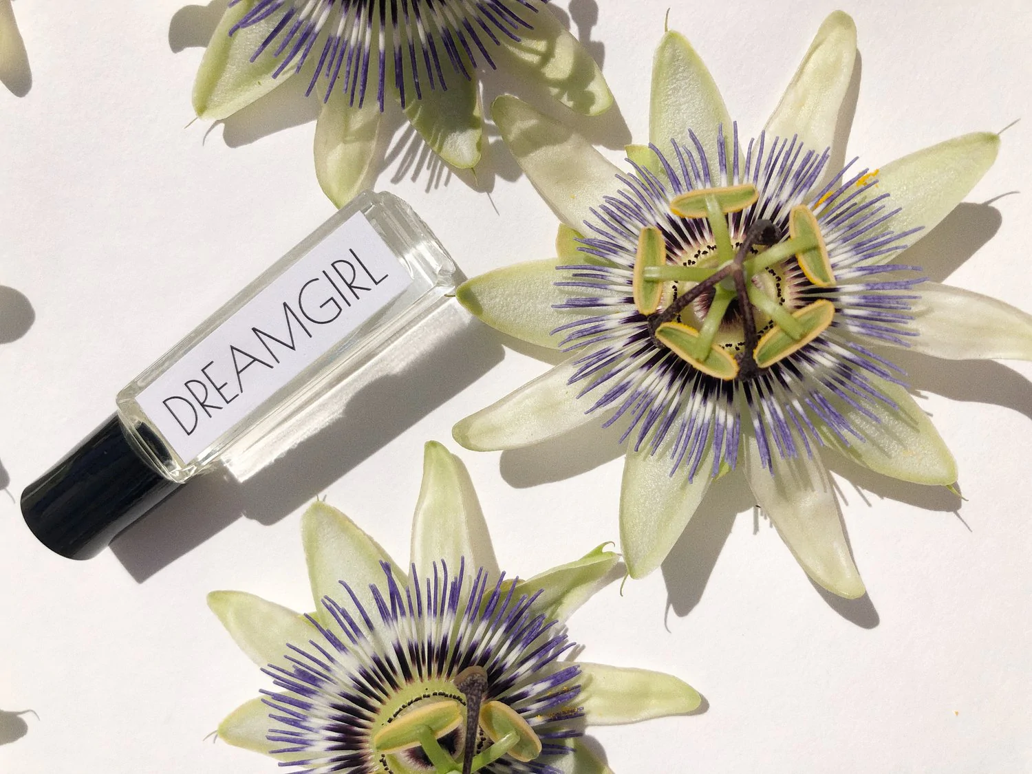 Salt and Freckles Sales -Salt and Freckles Sales l34